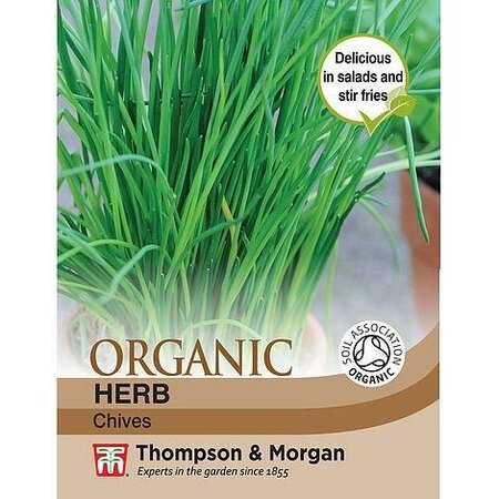 Herb Chives (Organic) - Image courtesy of Thompson & Morgan