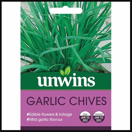 Herb Garlic Chives