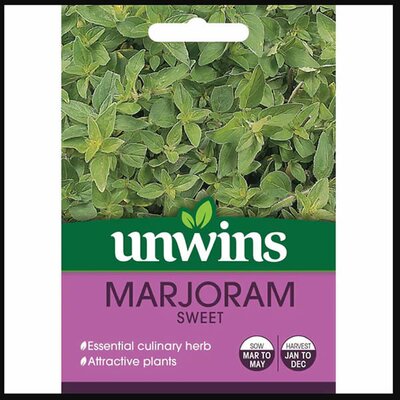 Herb Marjoram Sweet - image 1