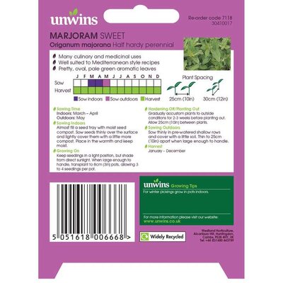 Herb Marjoram Sweet - image 2