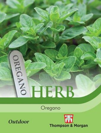 Herb Oregano - image 1