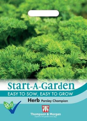 Herb Parsley Champion - image 1