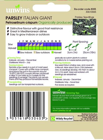 Herb Parsley Italian Giant (Organic) - image 2