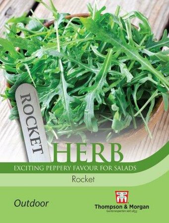 Herb Rocket - image 1