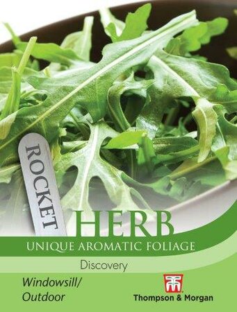 Herb Rocket Discovery - image 1