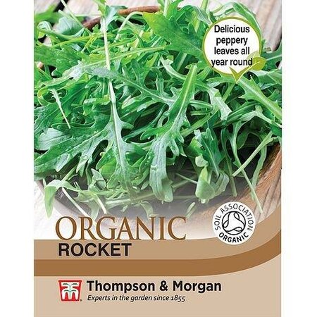Herb Rocket (Organic) - Image courtesy of Thompson & Morgan
