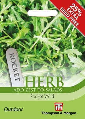 Herb Rocket Wild - image 2