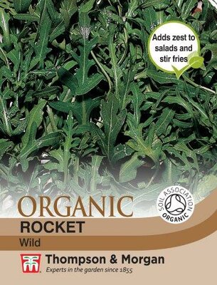 Herb Rocket Wild Organic - image 1