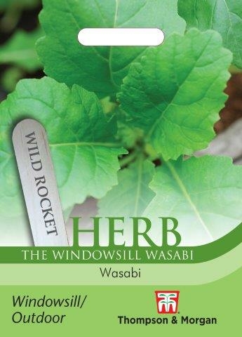 Herb Wild Rocket Wasabi - Ardcarne Garden Centre | Roscommon Town