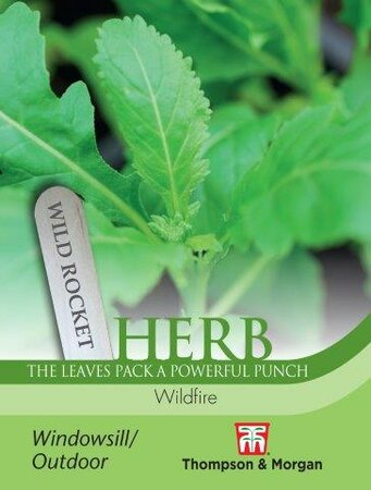 Herb Wild Rocket “Wildfire” - image 1