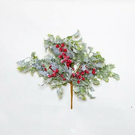 Holly & Berries Bush -Image courtesy of Elmes