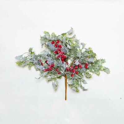 Holly & Berries Bush -Image courtesy of Elmes