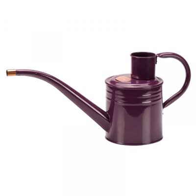 Home and Balcony Watering Can - image 2
