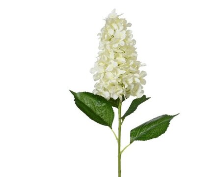 Hydrangea spray on stem -Image courtesy of Kaemingk