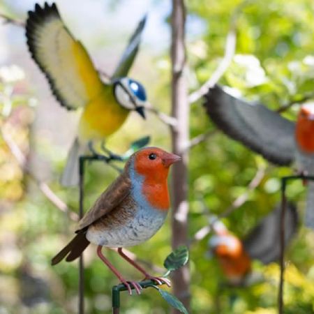 Inquisitive Robin Stake