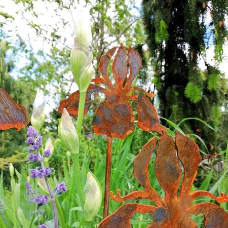 Metal Garden Stake – Iris -Image courtesy of Plantline