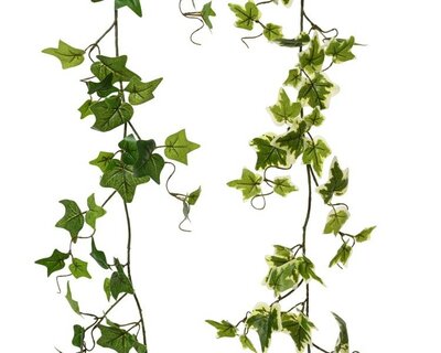 Ivy Garland -Image courtesy of Kaemingk