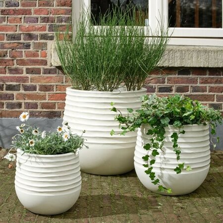Jamie Planter -Image courtesy of Kaemingk