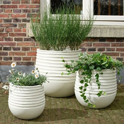 Jamie Planter -Image courtesy of Kaemingk