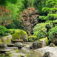 Japanese Garden Collection