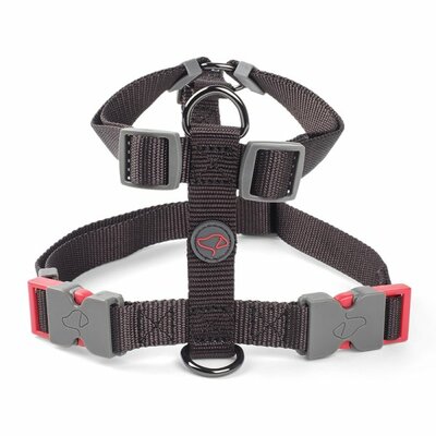 Jet walkabout dog harness (36cm-54cm)