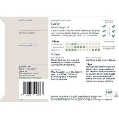 Kale Black Magic - image 2
