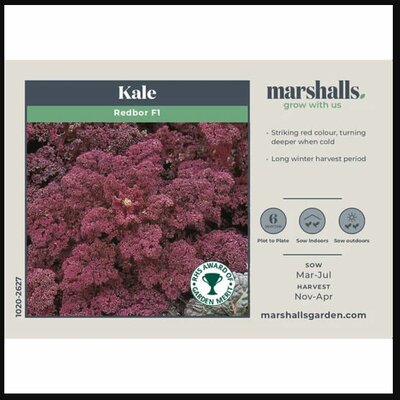 Kale Redbor F1 - image 1