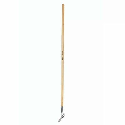 Kent & Stowe Stainless Steel Long Handled Daisy Weeder  -Image courtesy of Westland