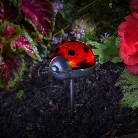 Ladybirds Triple Pack (Solar) - image 1