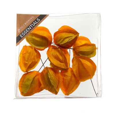 Lantern Fruit (9)