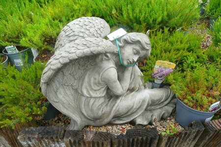 Large Resting Angel Ornament -Photo taken at Ardcarne Garden Centre 27/06