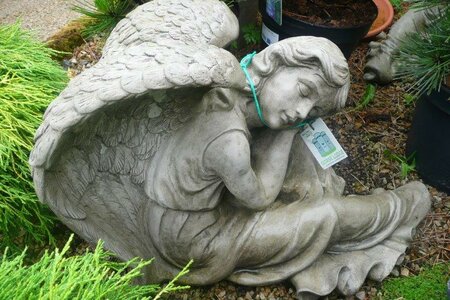 Large Resting Angel Ornament -Photo taken at Ardcarne Garden Centre 27/06