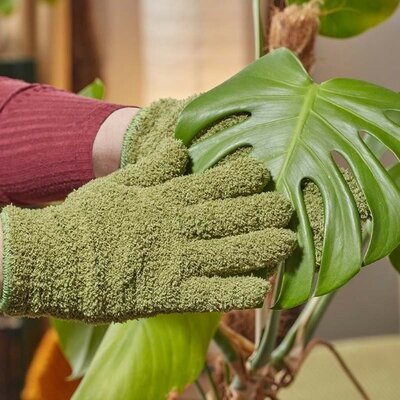 Leaf Shine Gloves -