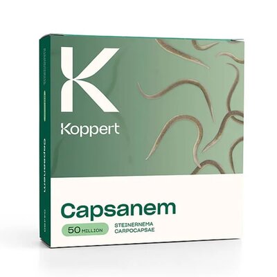 Leatherjacket Control Capsanem 50 Million