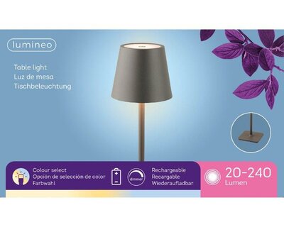 LED table light in grey - image 2