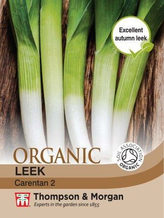 Leek “Carentan” 2 Organic - image 1