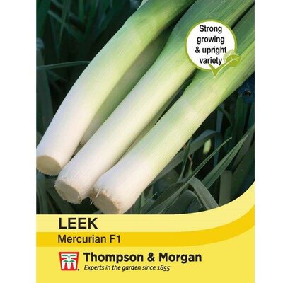 Leek 'Mercurian' F1 Hybrid - Image courtesy of Thompson & Morgan