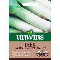 Leek (Vernal) Winter Giant 2