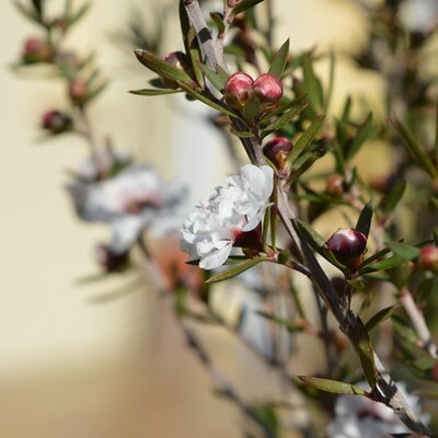 Image by Iris from Pixabay