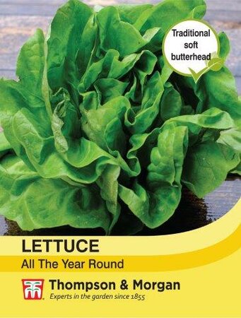 Lettuce All Year Round - image 1