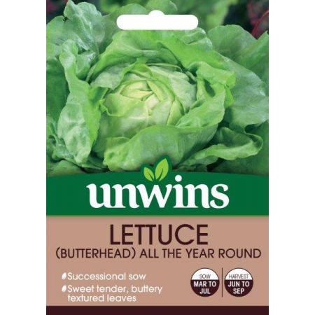 Lettuce (Butterhead) All The Year Round