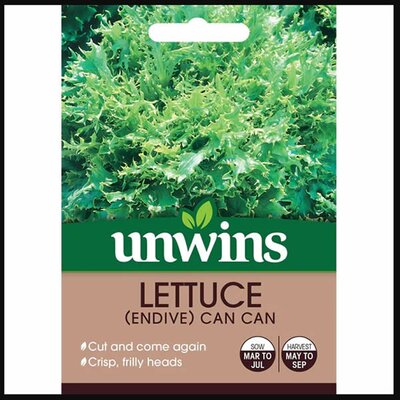 Lettuce (Endive) Can Can - image 1