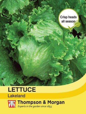 Lettuce Lakeland - image 1