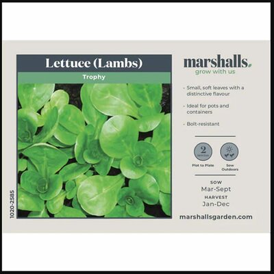 Lettuce (Leaves) Lamb's Trophy