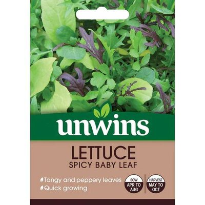 Image courtesy of Unwins Seeds