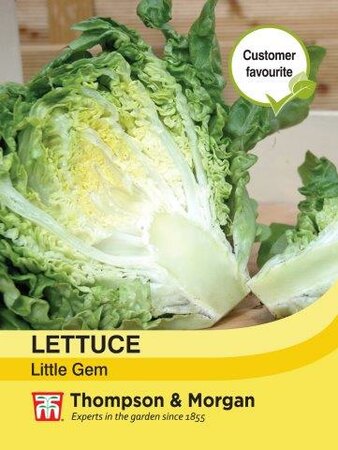 Lettuce Little Gem - image 1