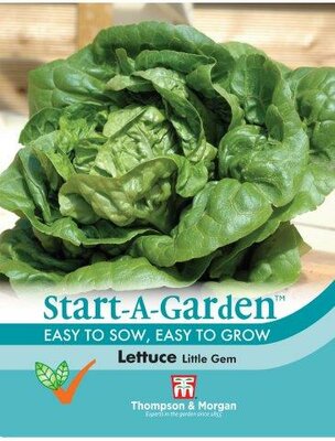 Lettuce Little Gem - image 1