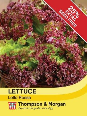 Lettuce Lollo Rossa - image 1