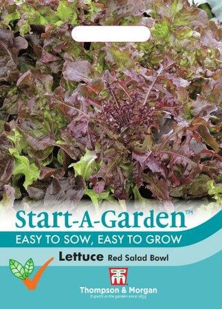 Lettuce Red Salad Bowl - image 1
