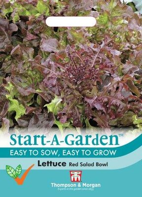 Lettuce Red Salad Bowl - image 1